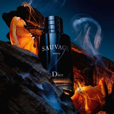 wild dior|Dior sauvage fragrance.